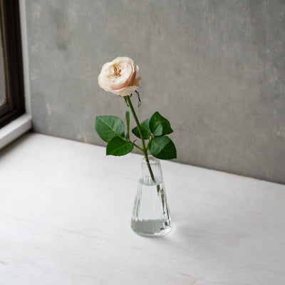 Flower Vase Alp