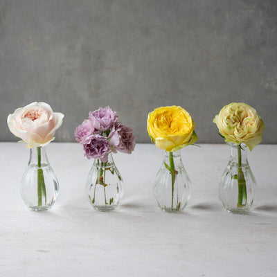 Flower Vase Fig