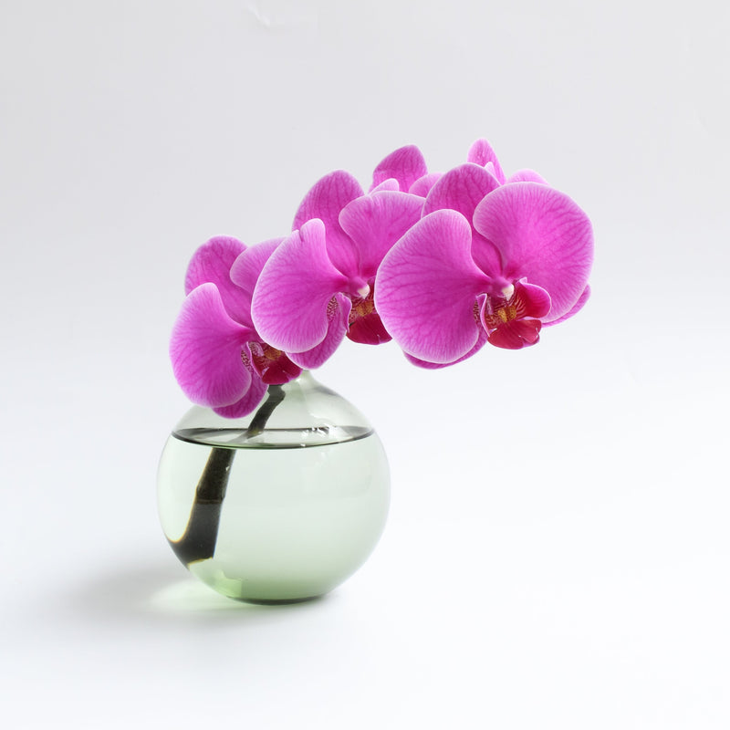 紫の花束を贈る意味・シーン