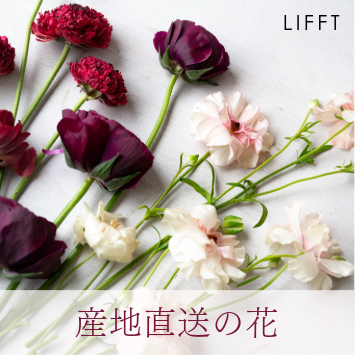 産地直送の花｜花農家直送のバラや花束