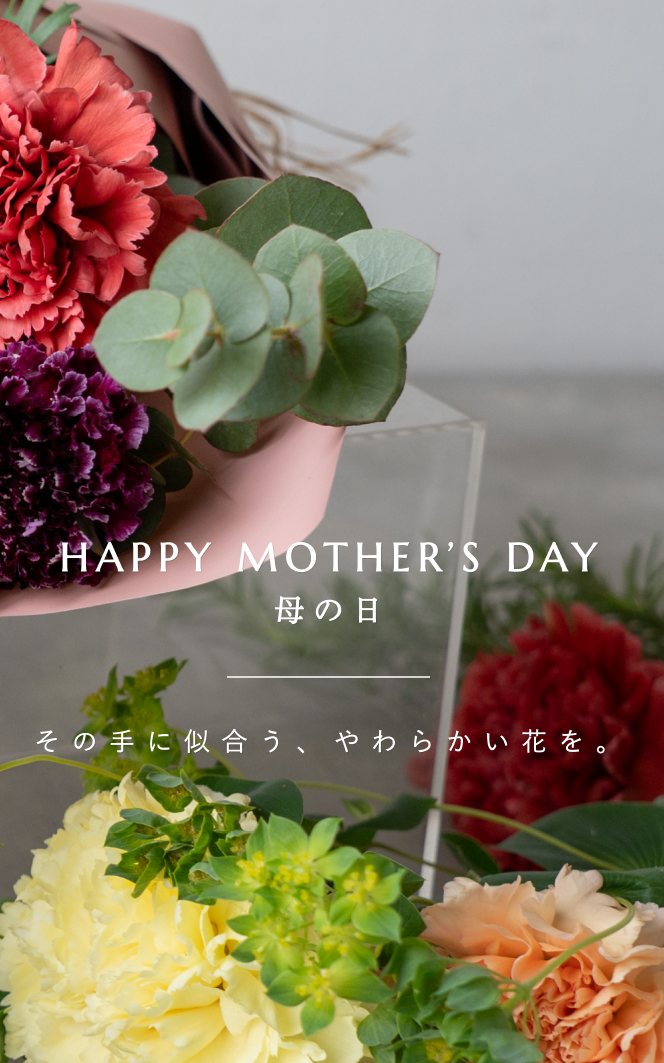 お花のサブスク・ギフト・観葉植物の通販ならLIFFT（リフト）