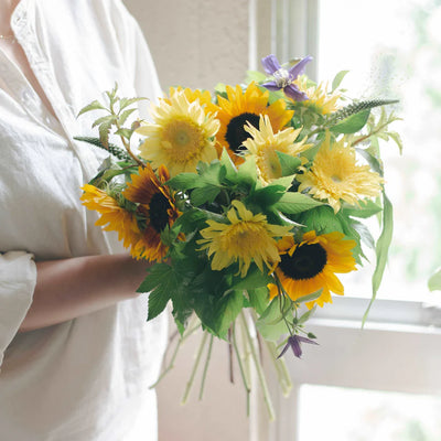 7月「ひまわり」