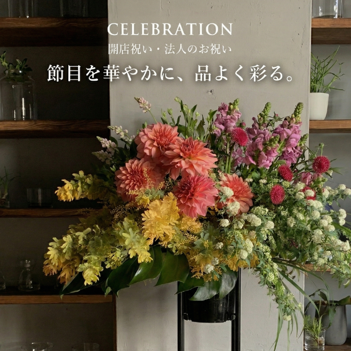 お花のサブスク・ギフト・観葉植物の通販ならLIFFT（リフト）