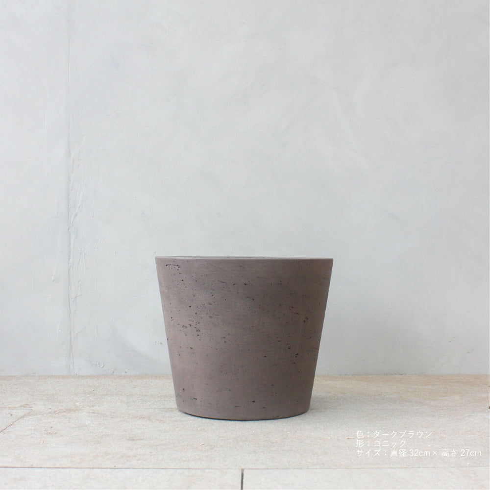 フィカス・ベンガレンシス 7号/ Ficus Benghalensis - LIFFT