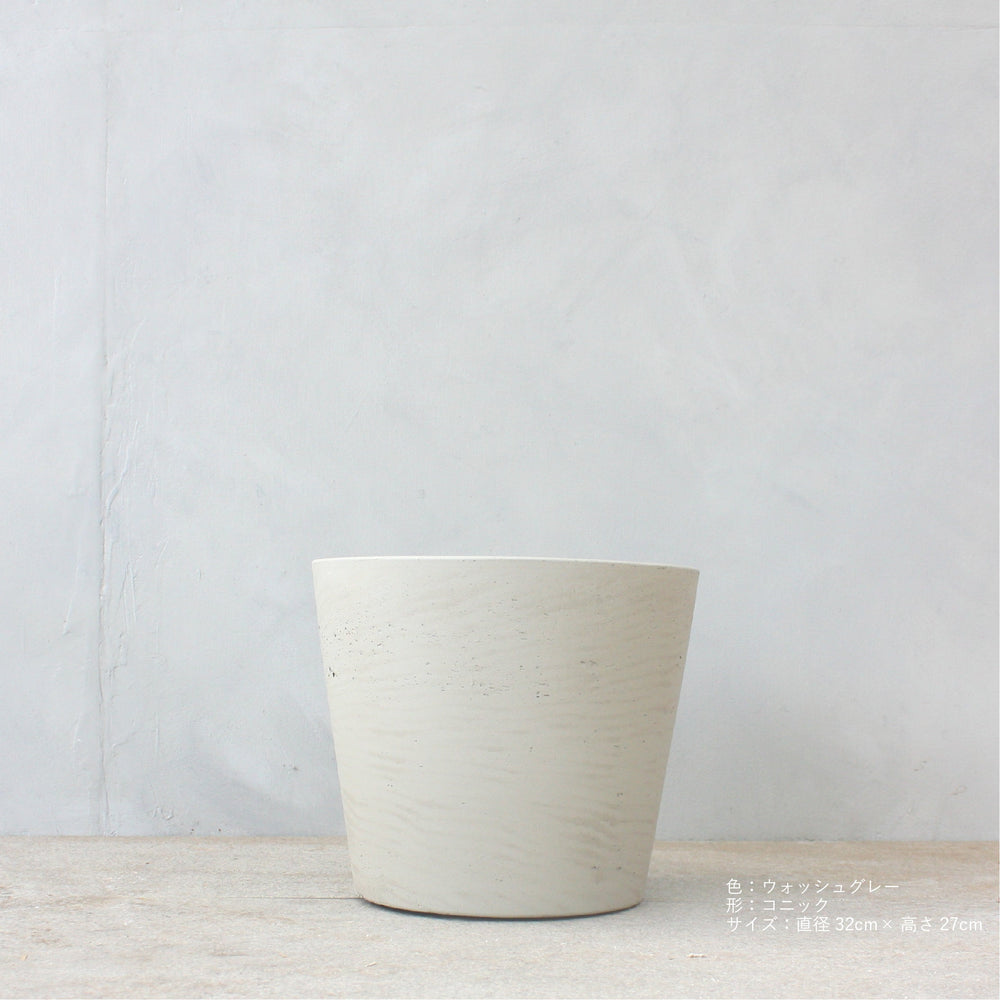 フィカス・ベンガレンシス 7号/ Ficus Benghalensis - LIFFT