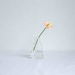 Flower Vase - Shank - LIFFT