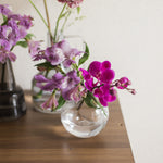 ミディファレノのアソート & ライトリー GLASS Flower vase - Flask - LIFFT