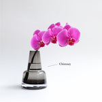 ミディファレノ & Glass Flower vase set - LIFFT