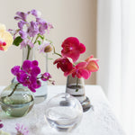 ミディファレノ & Glass Flower vase set - LIFFT