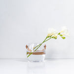 【HOLMEGAARD】Disign with Light POT （S） - LIFFT