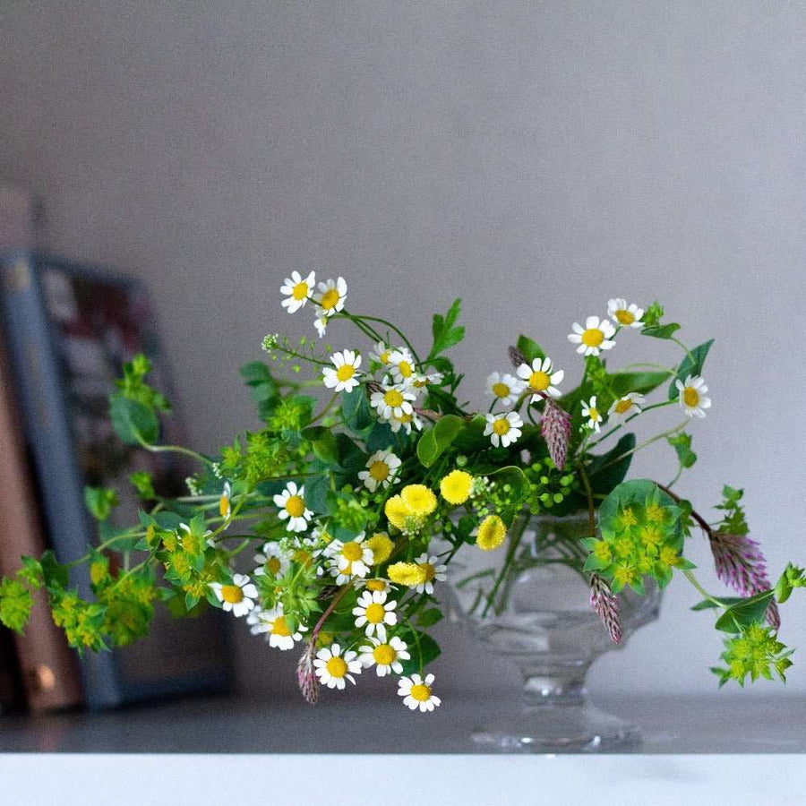 花通販おすすめ10選【2025年版】安くておしゃれな花宅配サービス徹底ガイド 花通販Happyガイド | 花通販おすすめ10選【2025年版】安くておしゃれな花宅配サービス徹底ガイド