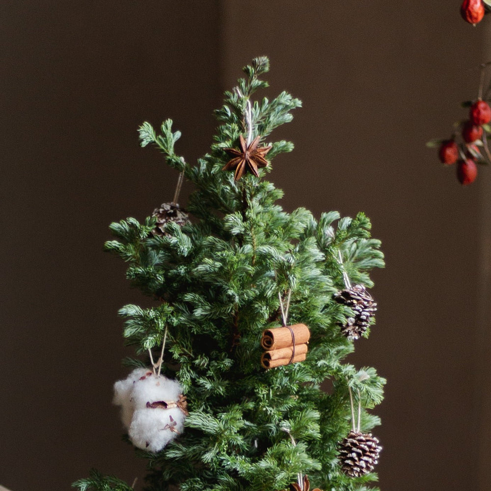 Natural ornament Tree - LIFFT