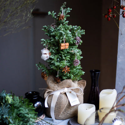 Natural ornament Tree