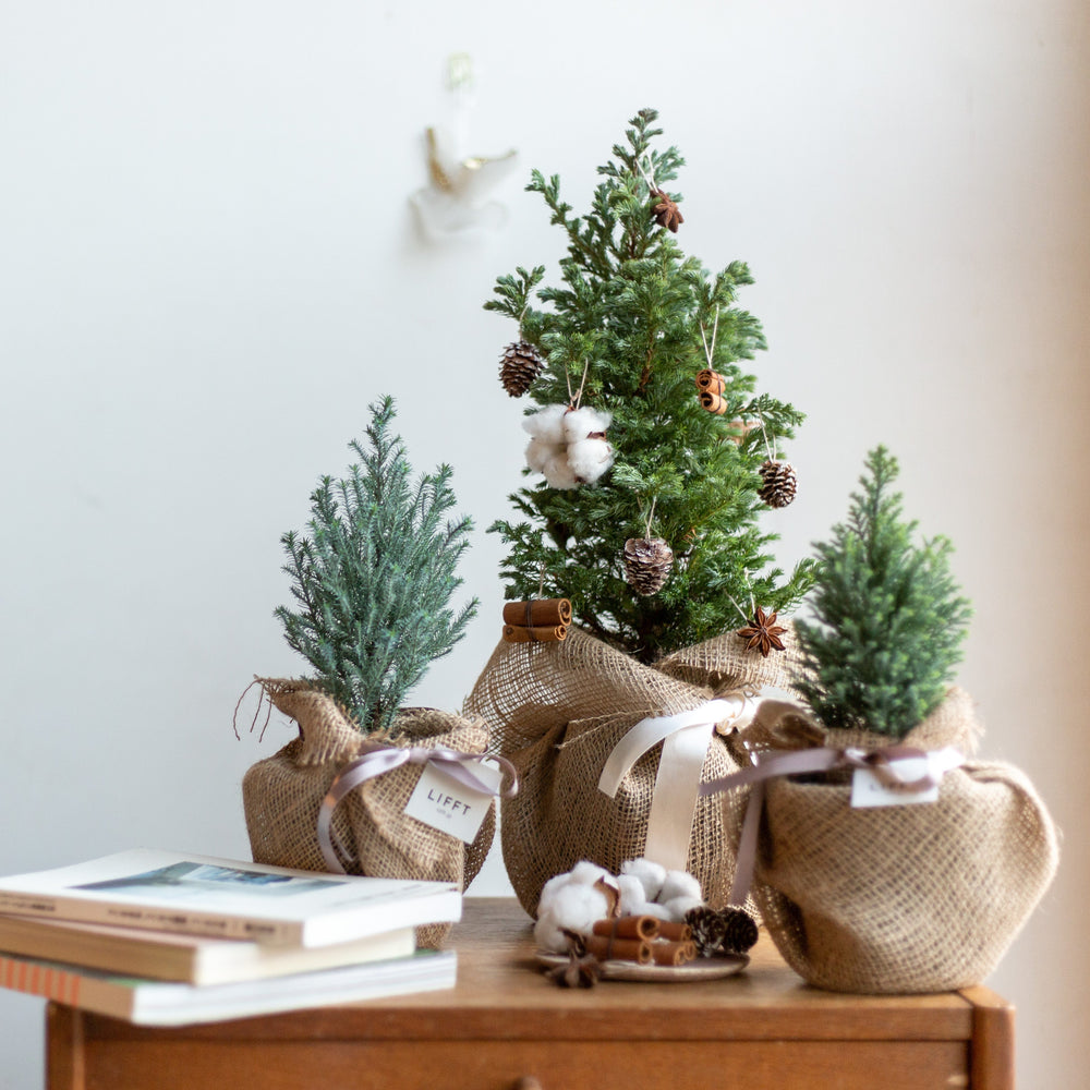 Natural ornament Tree - LIFFT