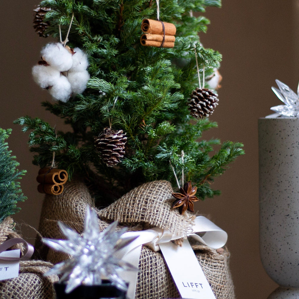 Natural ornament Tree - LIFFT